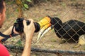 Travel backpacker photographer with camera in hand make photo animals in zoo Royalty Free Stock Photo