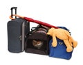 Travel bags and pet carrier Royalty Free Stock Photo