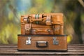 Travel bags Royalty Free Stock Photo