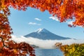 Travel. beautiful view of Fuji san mountain with colorful red maple leaves and winter morning fog in autumn season Royalty Free Stock Photo