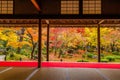 Travel bubble. beautiful view of colorful maple leaf in Japanese garden in autumn season Royalty Free Stock Photo