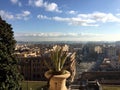 City of Rome, picture from the balcony.