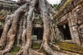 Ancient stone door and tree roots, Ta Prohm temple, Angkor, Camb Royalty Free Stock Photo