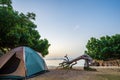 Travel camping at sunrise on shore under the trees, Outdoor lifestyle concept