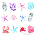 Exotic hand painted set on the white background: branches with leaves, coral reefs, starfishes, tropical plants.