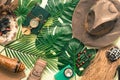 Travel concept around the world. Masks, compass, Indiana Jones style hat, Green tropical leaves in the background Royalty Free Stock Photo