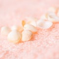 Travel concept of light sea shells on soft pink terry texture Royalty Free Stock Photo