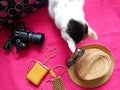 Travel concept Nikon camera, objects and cat pet pink top view background