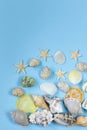Travel concept pattern of variety of sea shells Royalty Free Stock Photo