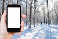 snowy road in city park in sunny winter day Royalty Free Stock Photo