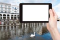 tourist photographs swan in Alster Lake in Hamburg Royalty Free Stock Photo