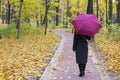 Travel concept young woman with umbrella, picnic bright autumn city Park Royalty Free Stock Photo