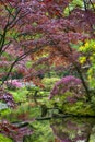 Travel Concepts. Amazing Iconic Red Bridge and Scenery of Japanese Garden