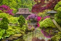 Travel Concepts. Amazing Picturesque Scenery of Japanese Garden