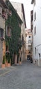 Characteristic narrow street in the historic center of Rome in Italy.