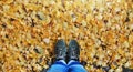 Travel in Fall and Autumn Concept. Top view of person in Blue Jeans and Adventure Shoes standing over full of Yellow Leaves