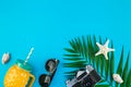 Travel flat lay concept with palm leaves Royalty Free Stock Photo