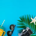 Travel flat lay concept with palm leaves Royalty Free Stock Photo