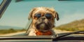 Travel with Furry Love Brussels Griffon Dog in Sunglasses on Summer Road Trip - Generative AI