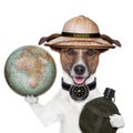 Travel globe compass dog safari Royalty Free Stock Photo