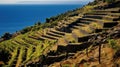 travel greek vineyard terraces Royalty Free Stock Photo