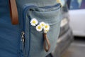 Travel, holidays, vacation: White daisies inside backpack. Flowers in girl`s backpack. Five field daisies inside backpack.