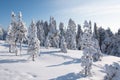 Winter landscape with snow covered trees in Ounasvaara, Rovaniemi, Finland. Royalty Free Stock Photo