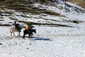 Horse ride in the nature mountain valley.