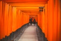 Travel Japan, Torii Gateways in Fushimi Inari Taisha Shrine Royalty Free Stock Photo