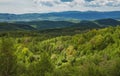Travel landscape. Hill or mountain coutntryside. Grassy scenic view. Wood at nature panorama.