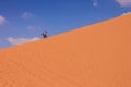 Travel life style man portrait walk desert dune sand ground yellow diagonal horizon background lie with blue sky nature scenic
