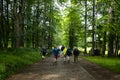 Travel Lifestyle and survival concept rear view of group of friends trekking in the mountains. Beautiful landscape in Royalty Free Stock Photo