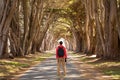 Travel man Hiker with backpack enjoying the Cypress Tree Tunnel, Point Reyes National Seashore, California, USA Royalty Free Stock Photo