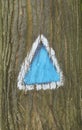 Travel marking on a tree