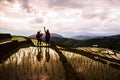 Travel nature lover asian woman and asian man walking take a photo on the field rice Sunset light in rainy season Royalty Free Stock Photo