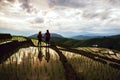 Travel nature lover asian woman and asian man walking take a photo on the field rice Sunset light in rainy season Royalty Free Stock Photo
