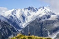 Travel New Zealand, Mount Fox. Scenic view of southern alps, mount cook and glaciers. Small person / tourist woman with hands up e Royalty Free Stock Photo