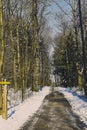 Travel path through the forrest of st. poelten in winter season Royalty Free Stock Photo