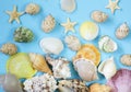 Travel pattern made of variety of sea shells Royalty Free Stock Photo