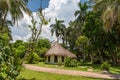 Travel photography - natural park in Mexico. Royalty Free Stock Photo