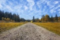 Travel road on the field with green grass and blue sky with clouds on the farm in beautiful summer sunny day. Clean, idyllic, land Royalty Free Stock Photo