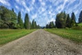 Travel road on the field with green grass and blue sky with clouds on the farm in beautiful summer sunny day. Clean, idyllic, land Royalty Free Stock Photo