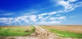Travel road on the field with green grass and blue sky with clouds on the farm in beautiful summer sunny day. Clean, idyllic, land Royalty Free Stock Photo