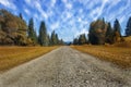 Travel road on the field with yellow autumn grass and blue sky with clouds on the farm in beautiful summer sunny day. Clean, idyll Royalty Free Stock Photo