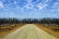 Travel road on the field with yellow autumn grass and blue sky with clouds on the farm in beautiful summer sunny day. Clean, idyll Royalty Free Stock Photo