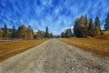 Travel road on the field with yellow autumn grass and blue sky with clouds on the farm in beautiful summer sunny day. Clean, idyll Royalty Free Stock Photo