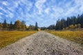 Travel road on the field with yellow autumn grass and blue sky w Royalty Free Stock Photo