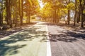 Travel road on summer country side, road with trees beside concept Royalty Free Stock Photo