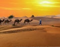 Travel Sahara desert in Africa Royalty Free Stock Photo
