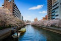 Travel Sakura flower in Japan on the river.